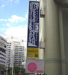 概観