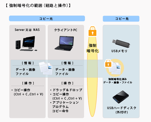 強制暗号化の範囲(経路と操作)