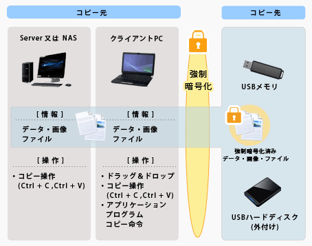 強制暗号化の範囲(経路と操作)